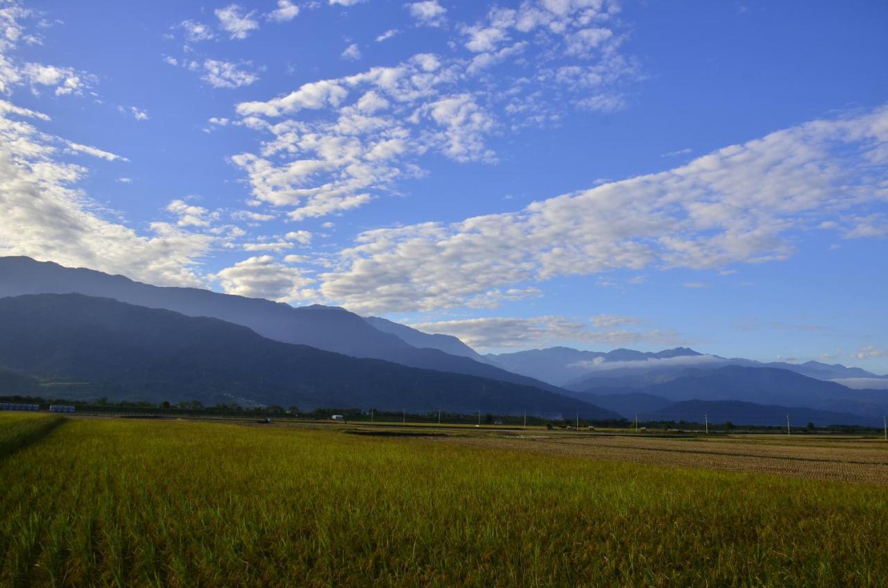 八畝田 Bamutian Farmland 8 Mu Appartement Yuli Buitenkant foto